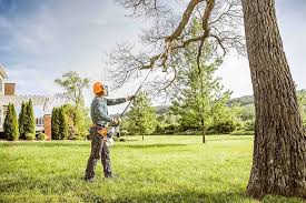 Best Pest Control for Lawns  in Los Ranchos De Albuquerque, NM